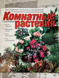 Издание Комнатные растение. Выпуск 2004 года