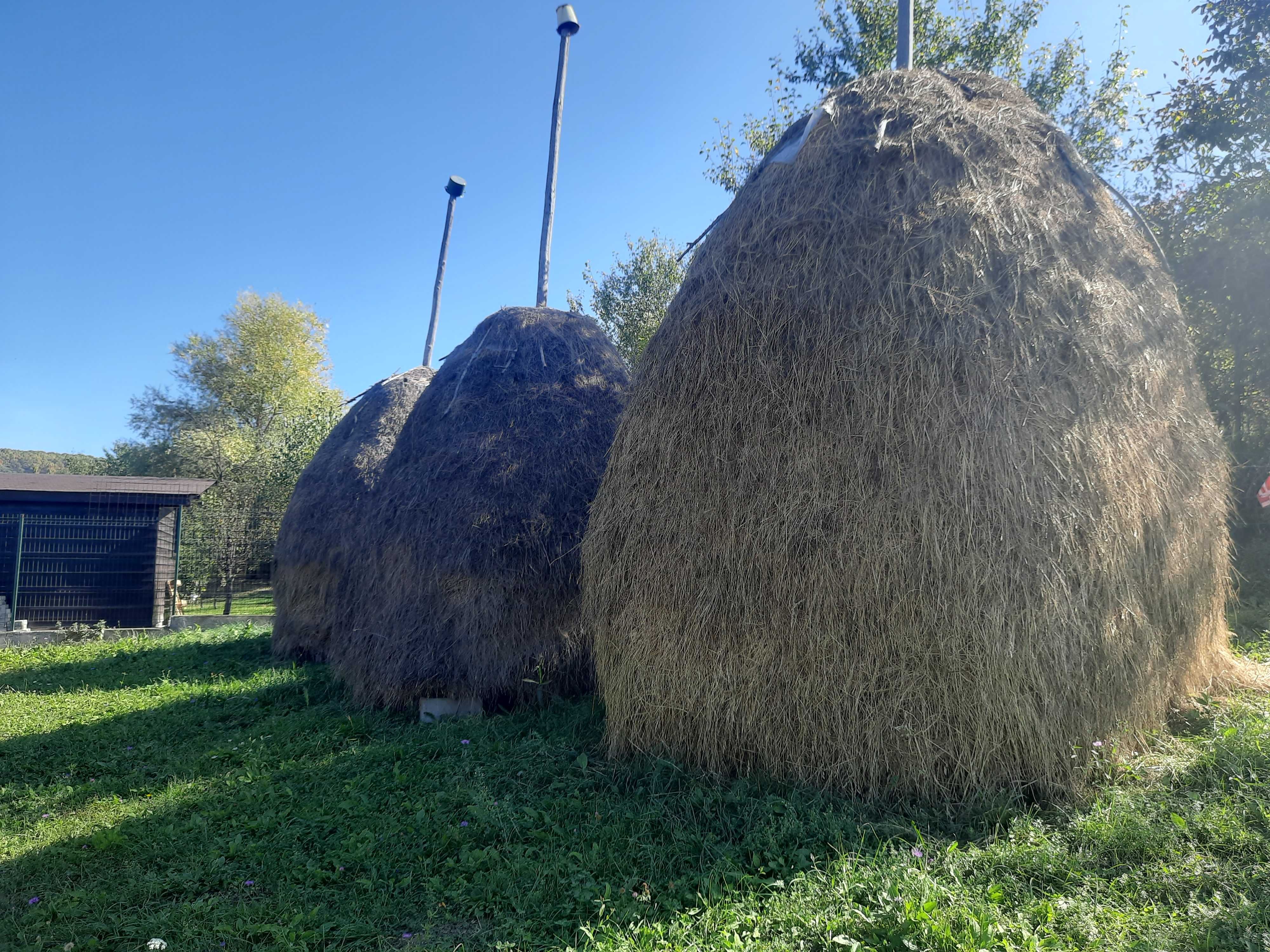 Vand fan Ramnicu-Valcea