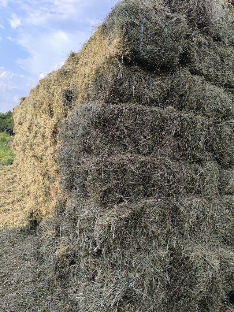 Vând baloți de fân