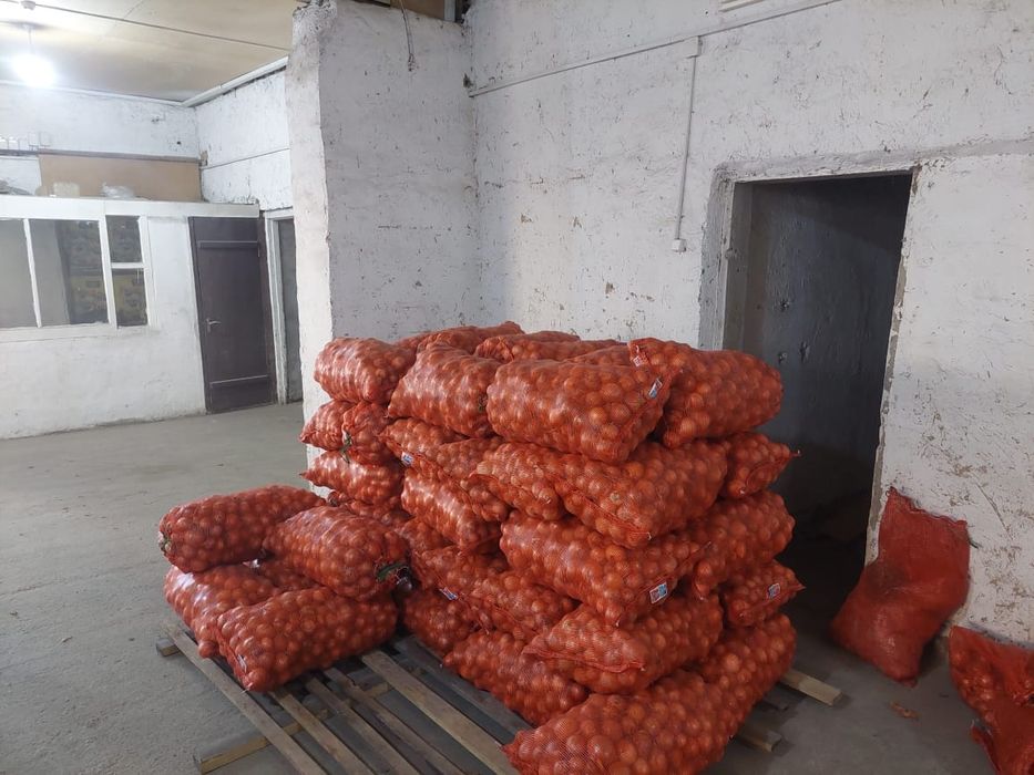 Лук со склада в городе Талдыкорган. Есть крупный, средний и  севок