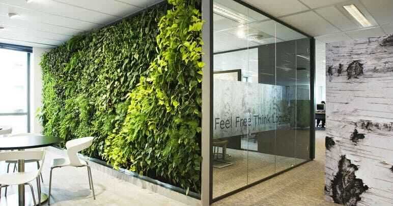 Искусственное озеленение стен растениями, фитостена, самшит на стену