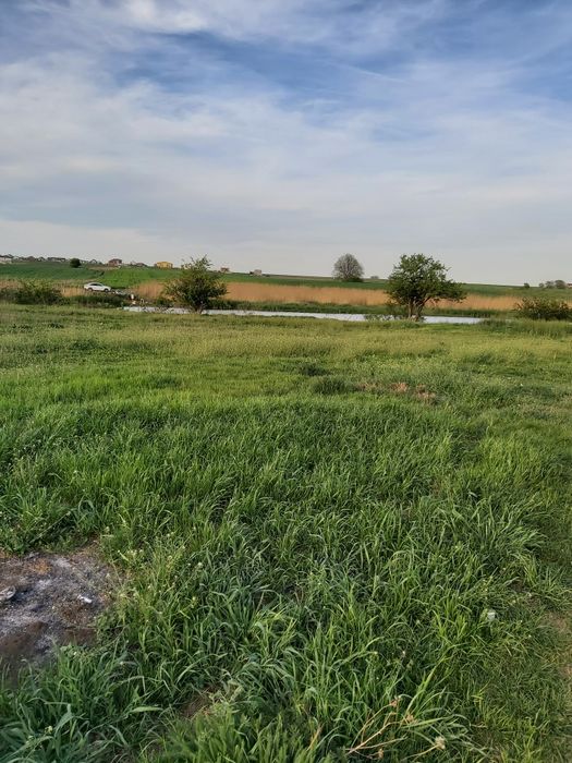 Vând 2loturi de 450m2 la ieșirea din Berceni lângă lac