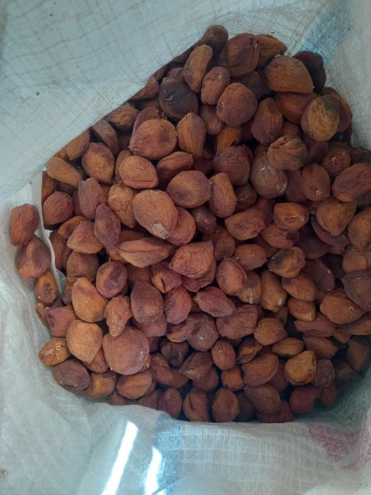 Продаётся сухофрукт абрикос