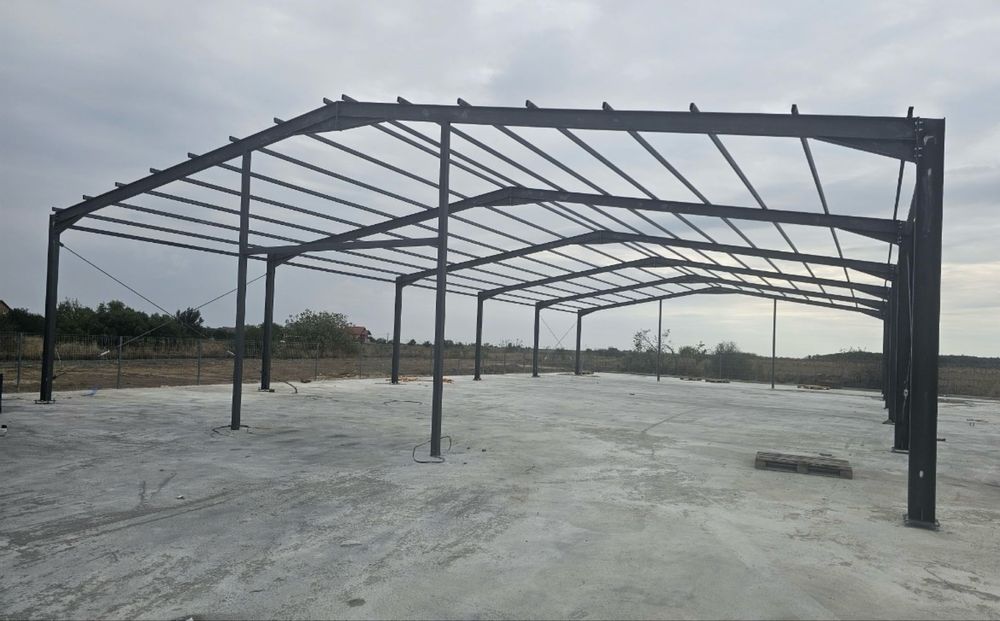 Vand hale metalice accept variante auto la schimb