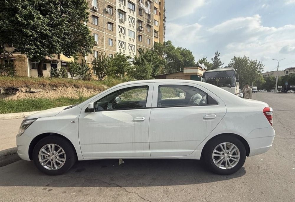 Cobalt   Bonus Stayle 2025 --