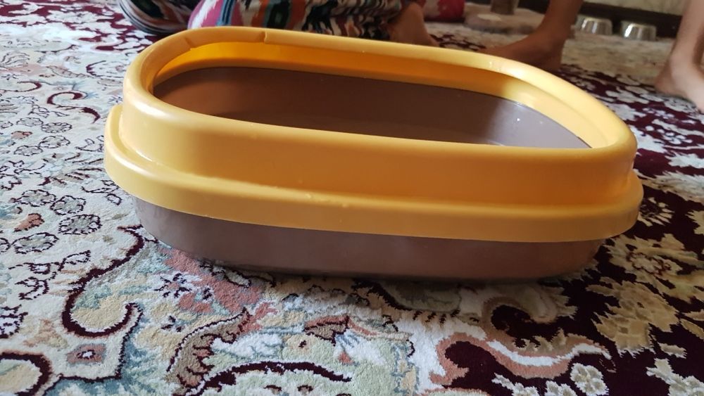 Лоток для кошек и котов