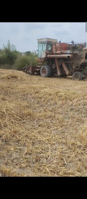 Yenisey kanbayin 1994 yil