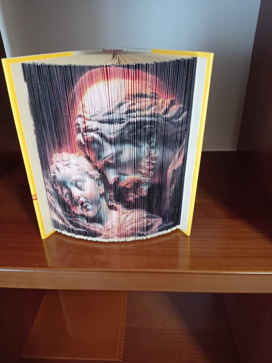 Cărți portret la comanda