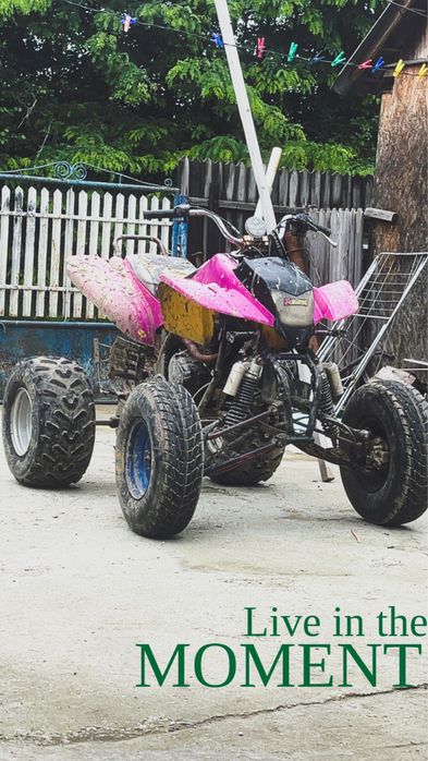 Vand atv bashan 250!