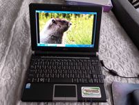 Asus Eee PC 10000H intel Atom