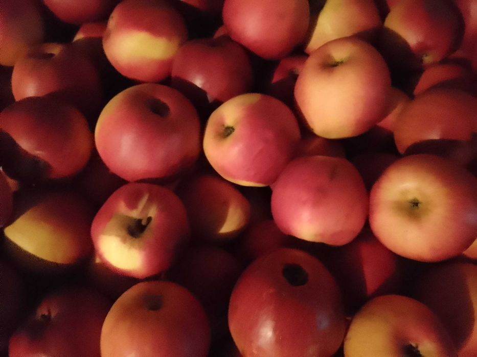 Vând, mere jonathan !