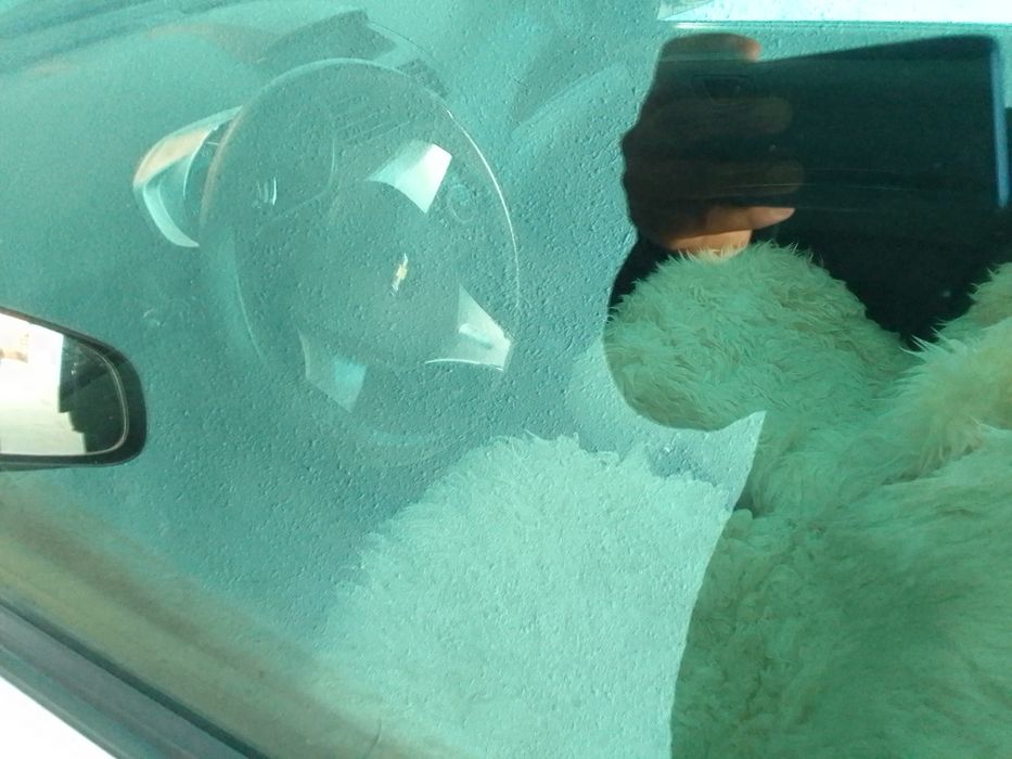 Краска тоза ищи йук гази бор