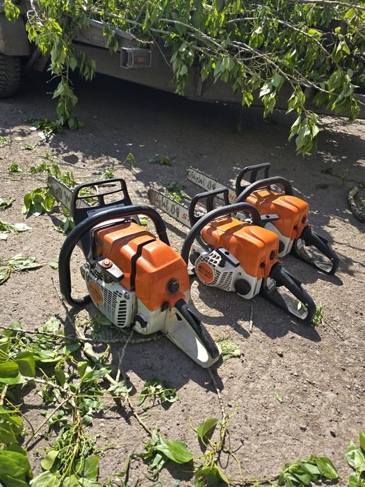 Спил дерева Спил деревьев