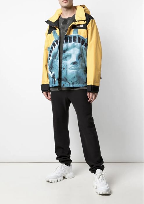Supreme x The North Face Mountain jacket