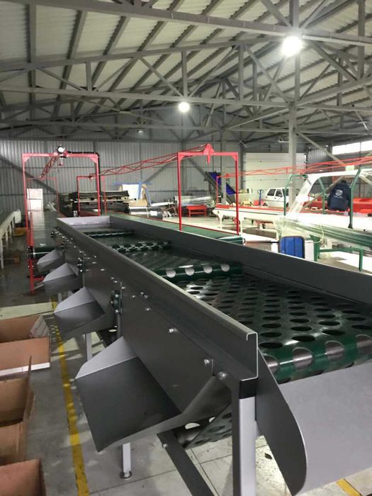 Calibrator cu bandă pentru legume (cartofi, ceapă, usturoi) – 3 m