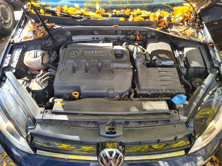 Vw Golf 7 2.0 DSG 187.00 km