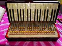 Papuceala/Aliniere Claviatura Acordeon Hohner Verdi/Tango/Weltmeister