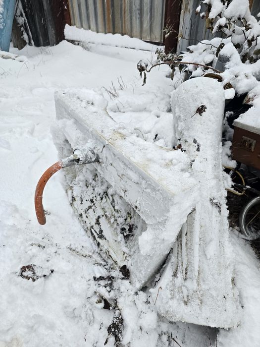 Раковина целая без сколов