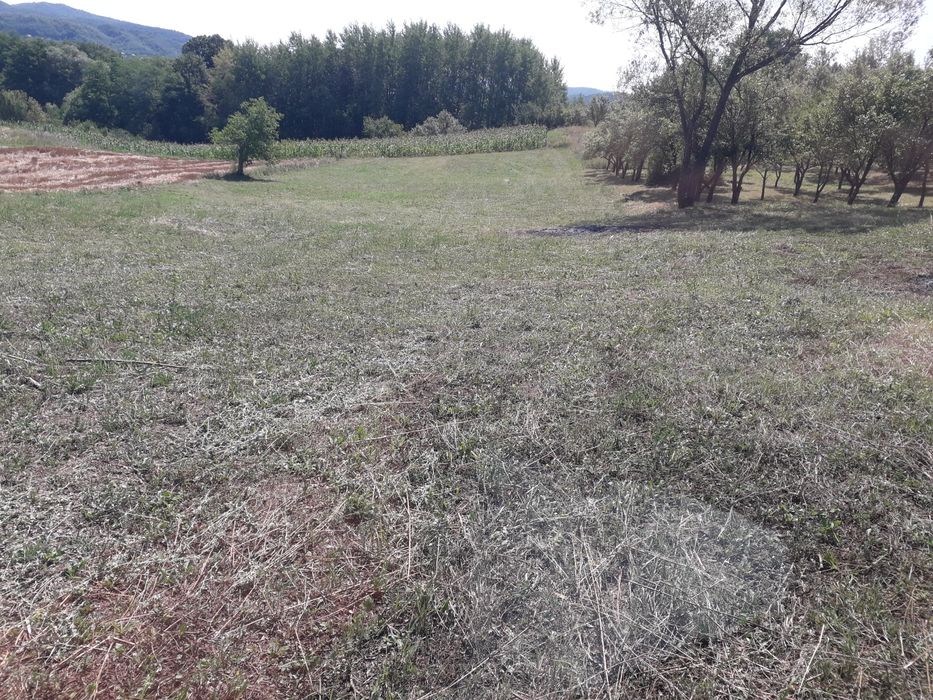 Teren Vladesti Priporu