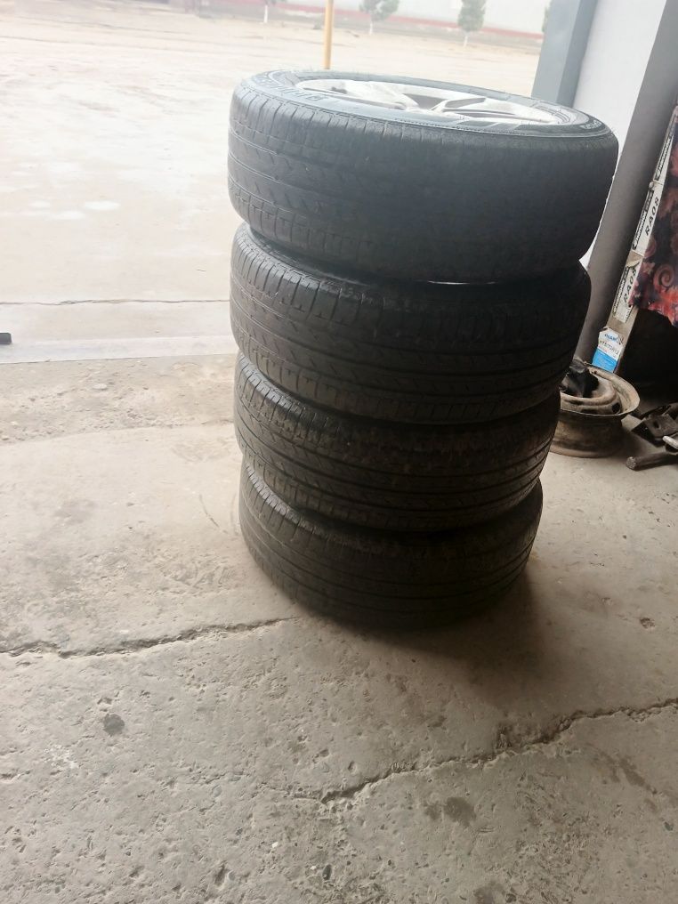 Treker radnoy disks
