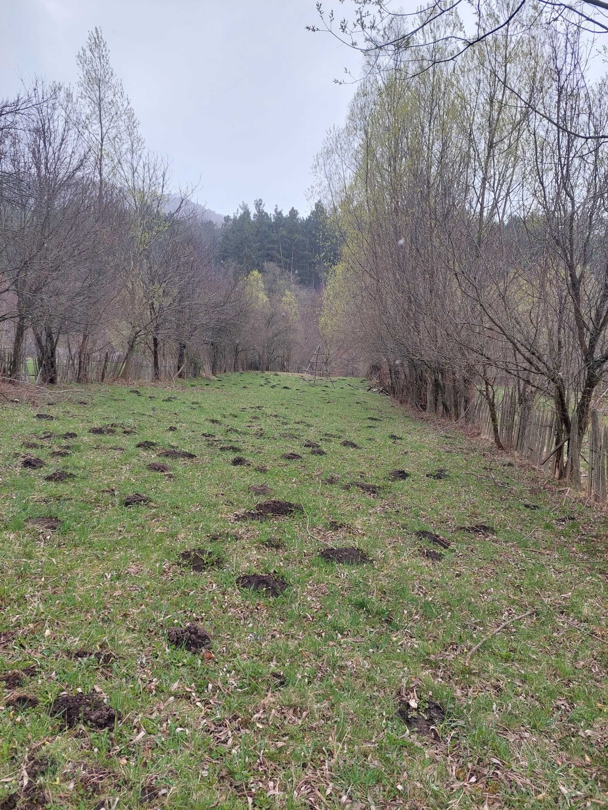 Teren Valea Doftanei 3750mp