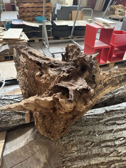 Орехов корен декорация