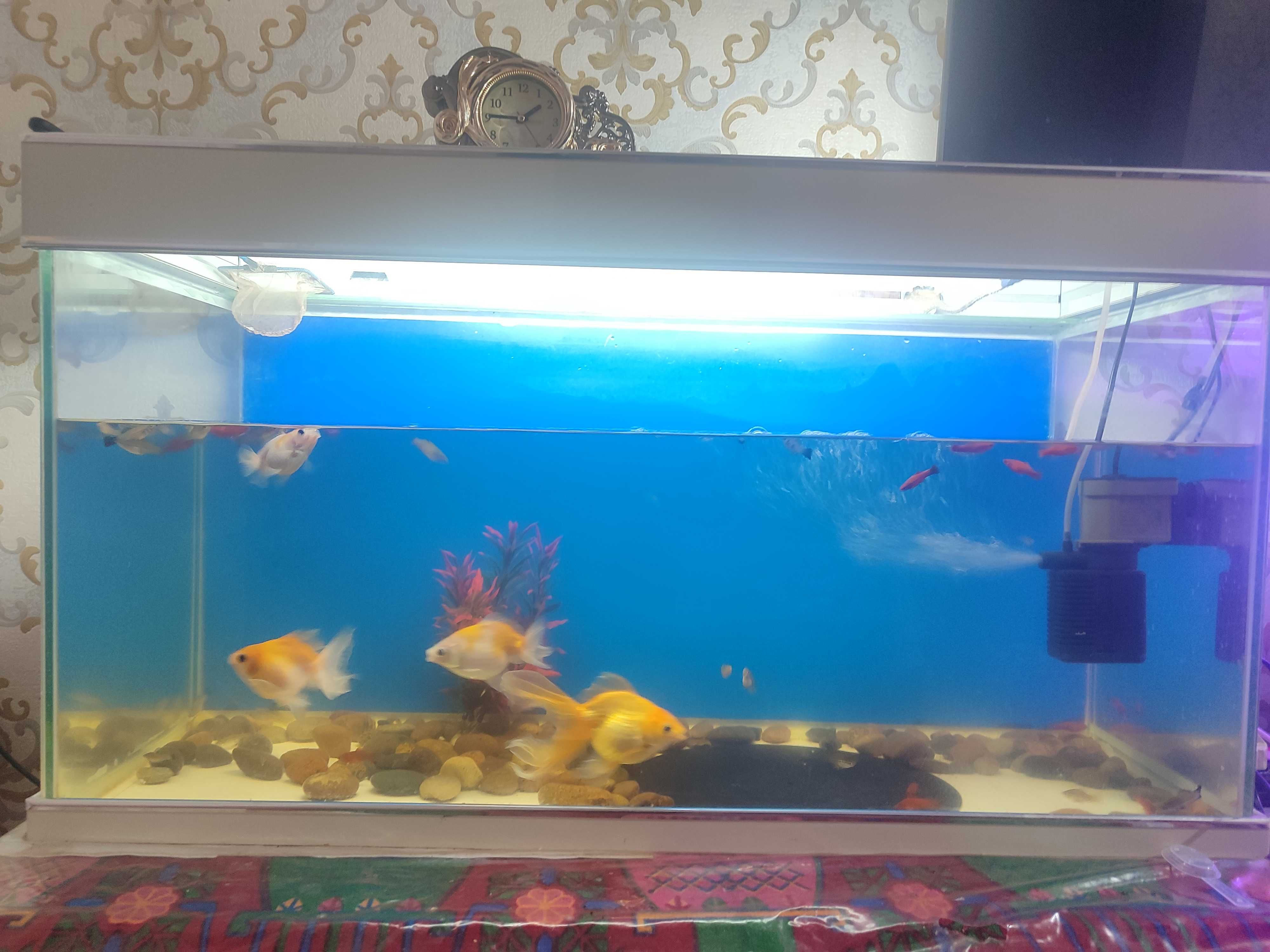 Аквариум 160 л. 40 л