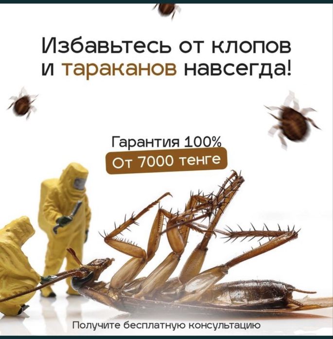 Дезинфекция Гос Эпид Стан.От5000т.
