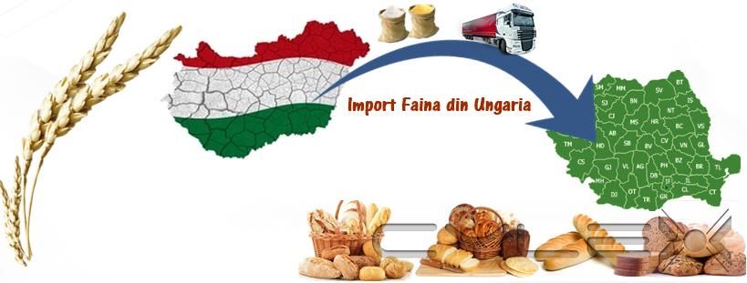 Import faina Ungaria