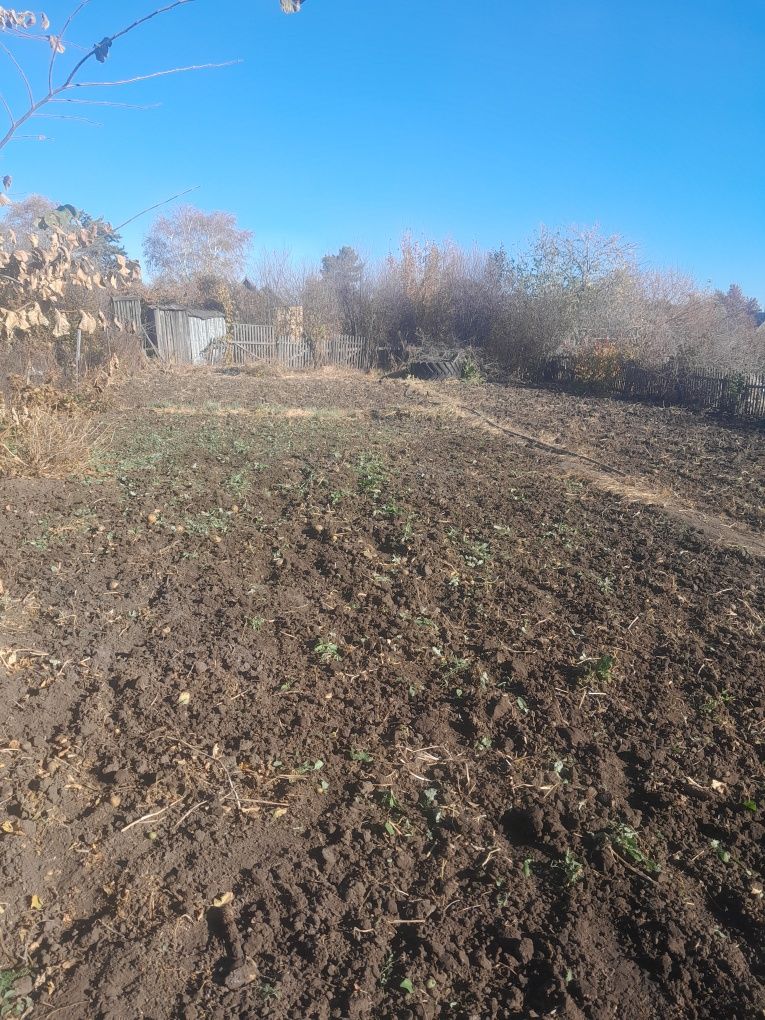 Продам дачу сады 1 апендицит