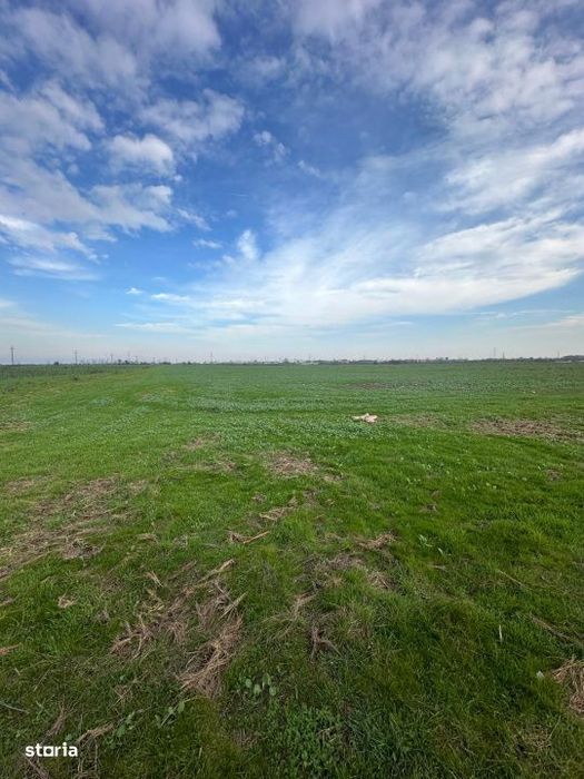 Teren 7.500 Mp De Vanzare – Măgurele, Ilfov