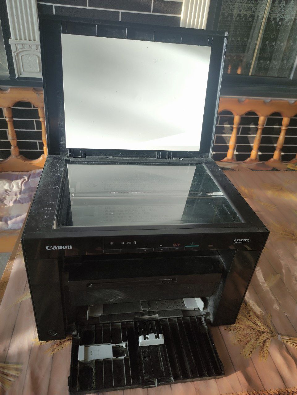Printer  canon3010