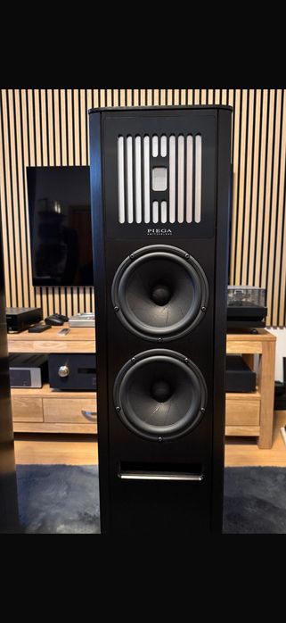 Piega Coax 90.2/Swizerland