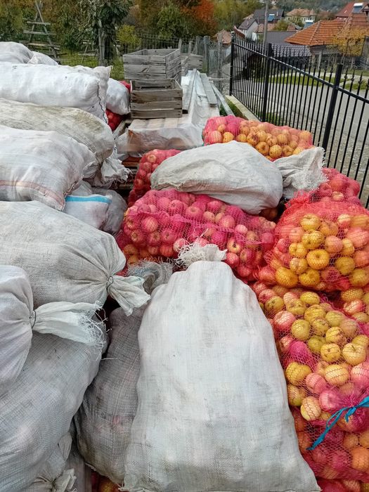 Mere suc/țuica 1 leu/kg disponibil 3300 Kg