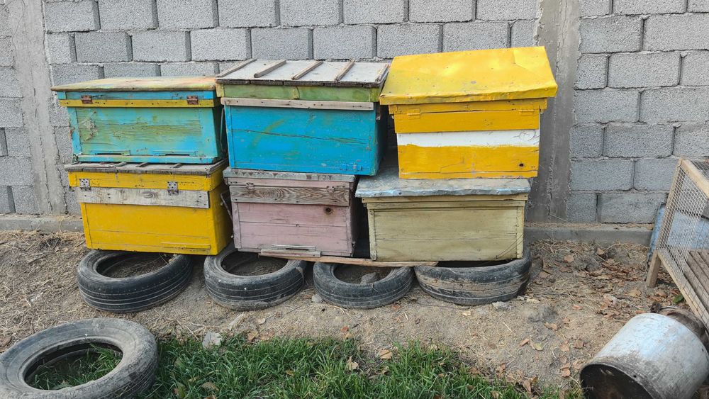 Улики, медогонка, рамки и ещё нужные вещи для пчеловодства.