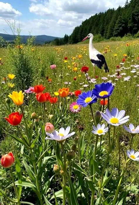 Хладилник със Фризер Indesit Италия