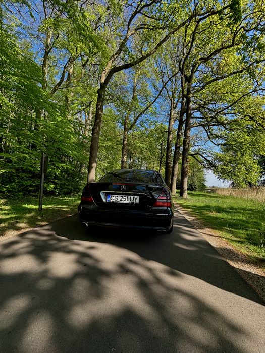 Vand sau schimb Mercedes-Benz w211