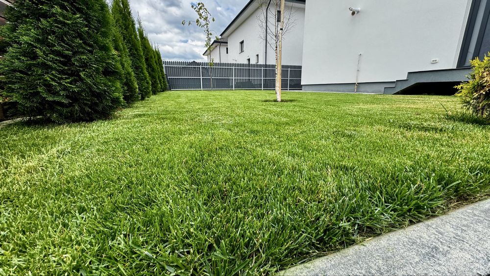 Tundem iarba, gazon, gard viu, tuia, buruieni, bălării, defrișam!