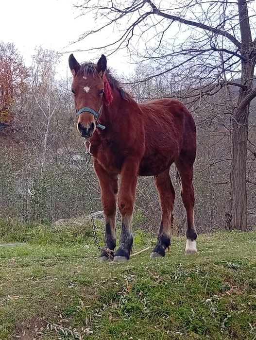Caută locație nouă