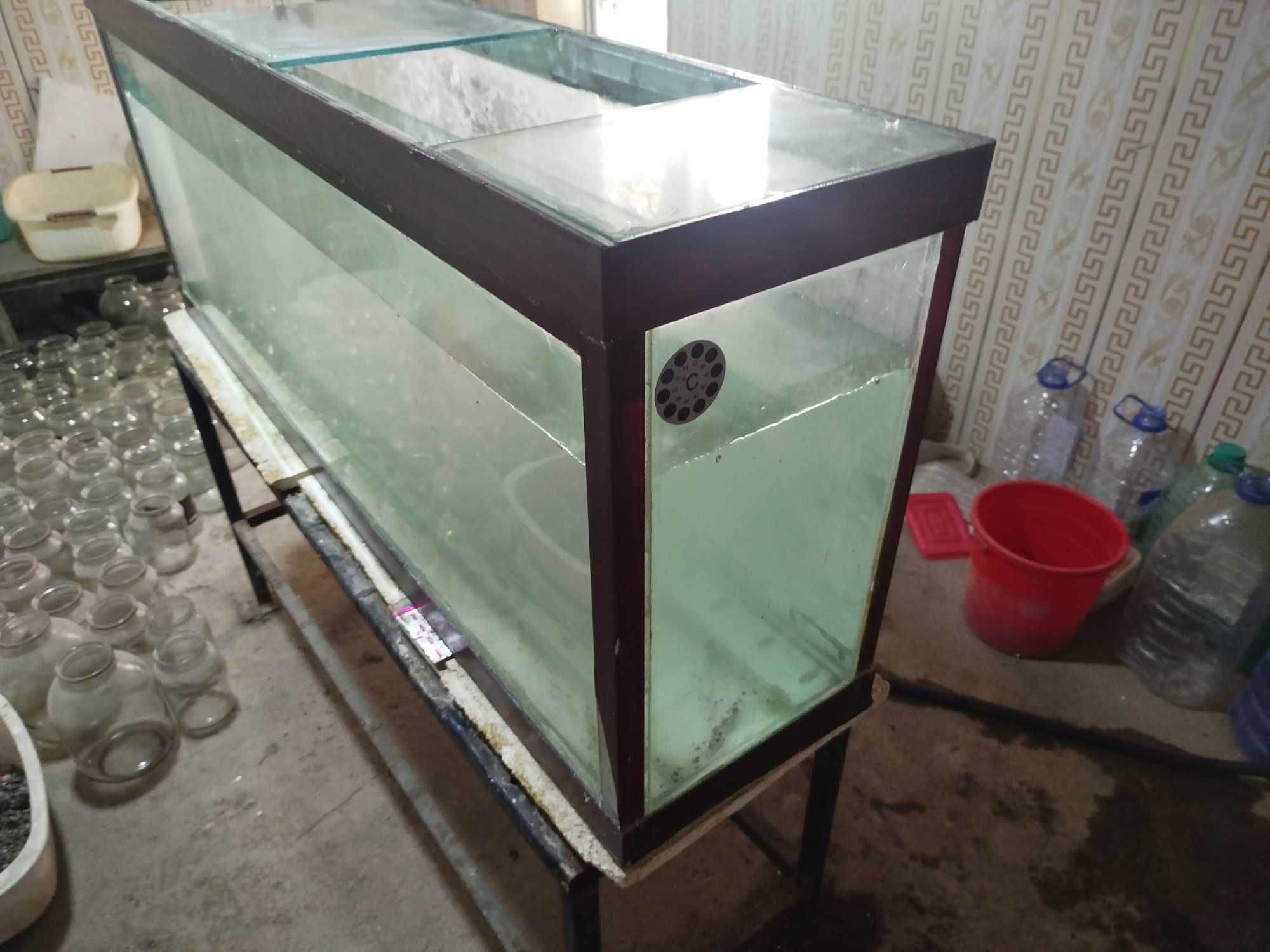 Akvarium sotiladi