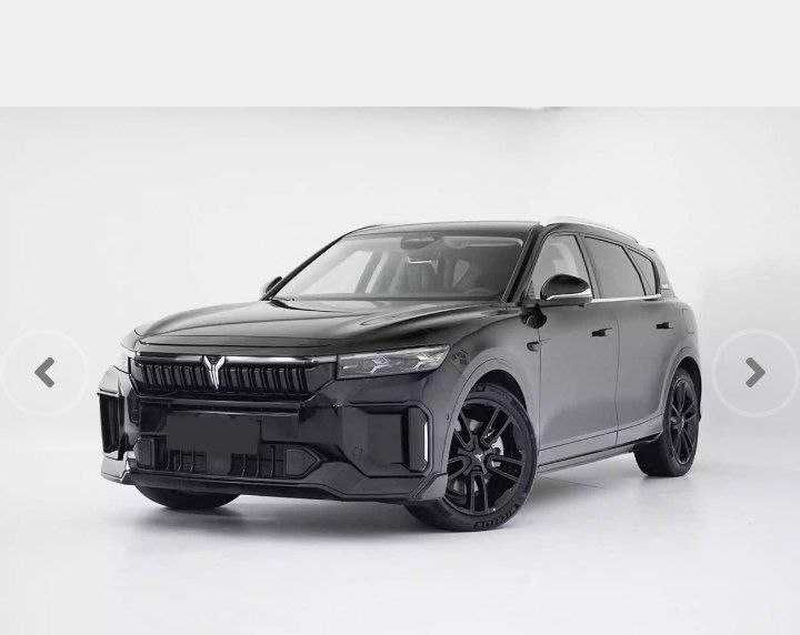 Voyah Free Hybrid 318km RWD