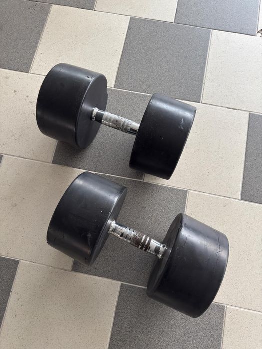 Set gantere 46 kg