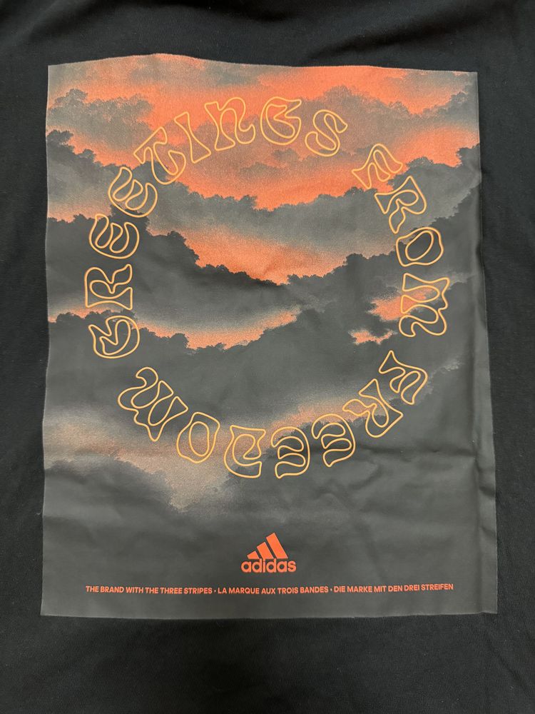 Мужская футболка Adidas Nature Graphic original 2XL большемер