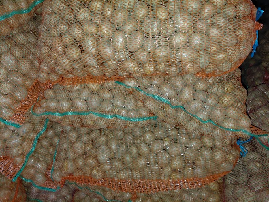 Cartofi pentru animale