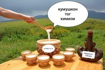 Kumushkon tog qimizi