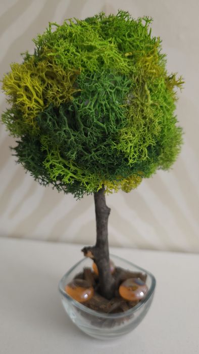 Подаръци с мъх , кашпи с рози