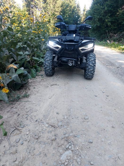 Vând linhai de 300 cc