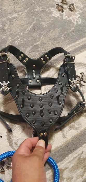 Pieptar protecție câine