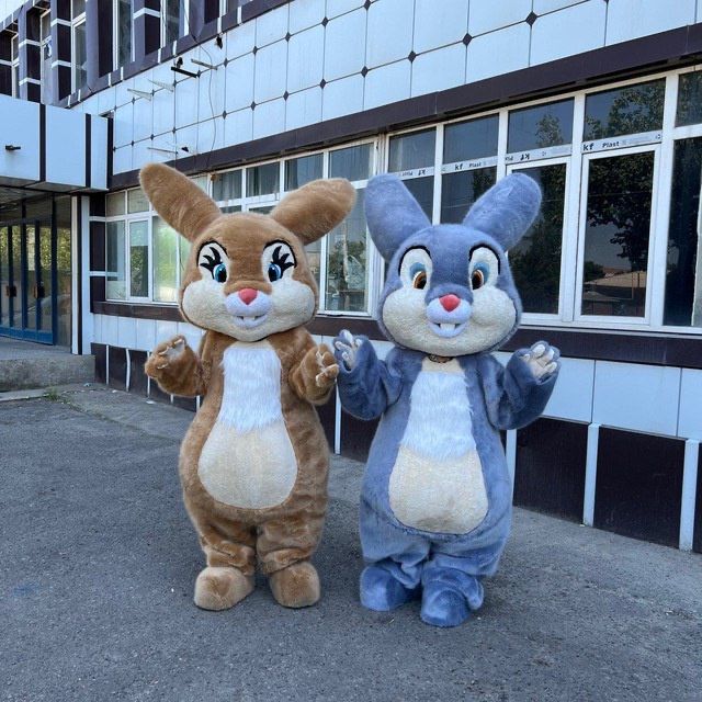 Teddy quyonlar sotiladi arzon narxda