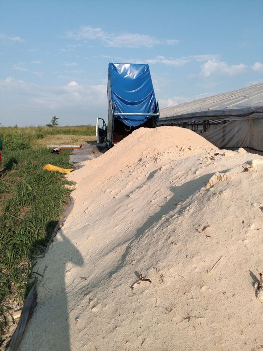 Vănd rumeguș de brad ,fag